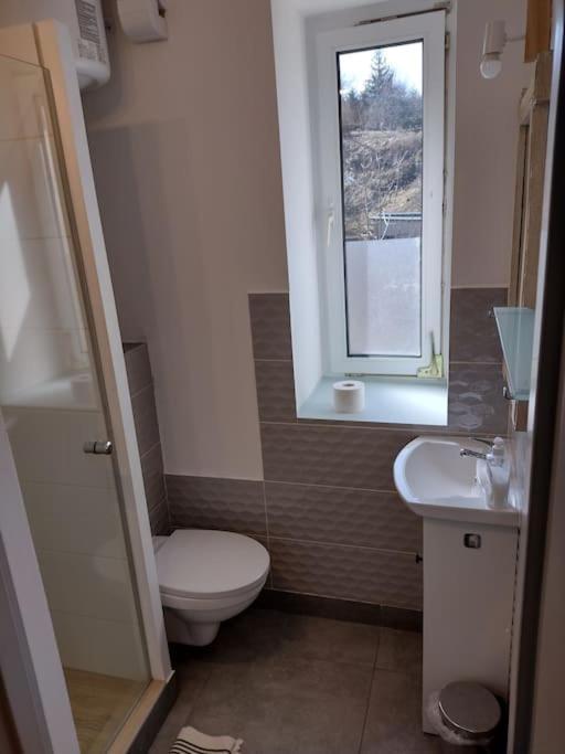 Sudety Hut 3 Apartment Podgorzyn Ngoại thất bức ảnh