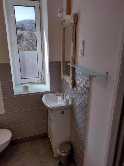 Sudety Hut 3 Apartment Podgorzyn Ngoại thất bức ảnh